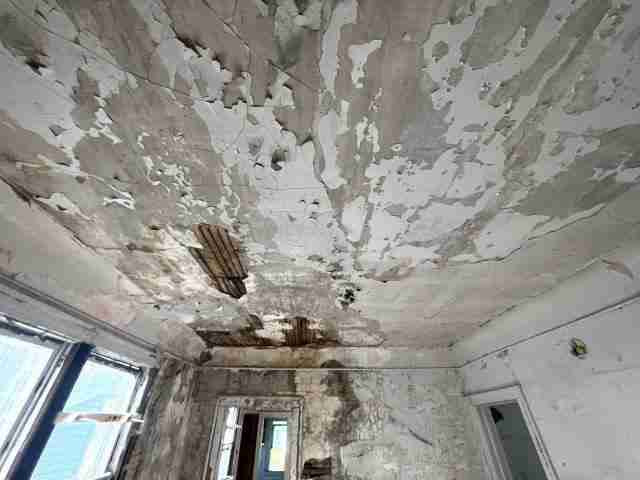 17257 bloom (23)_edited.jpg